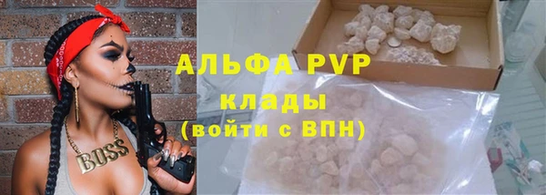 индика Медвежьегорск