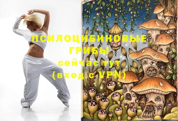 спайс Алзамай