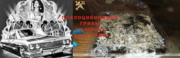 метадон Медногорск