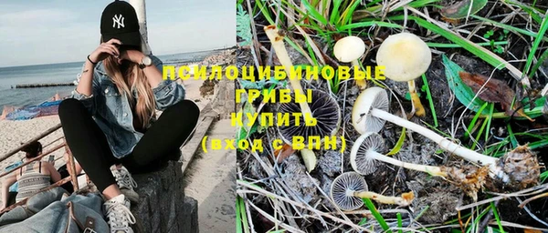 мдма Михайловка