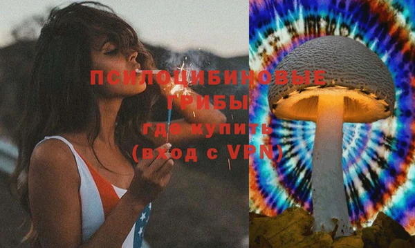 спайс Алзамай