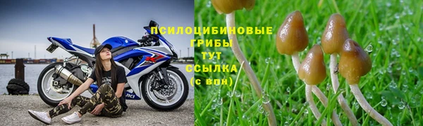 спайс Алзамай